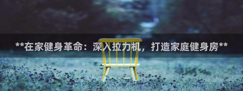 意昂3集团:**在家健身革命:深入拉力机,打造家庭健身房**